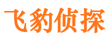 景洪外遇出轨调查取证